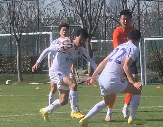 久草网视频