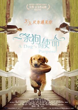 促进服务