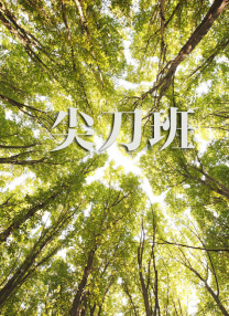 99精品欧美一区
